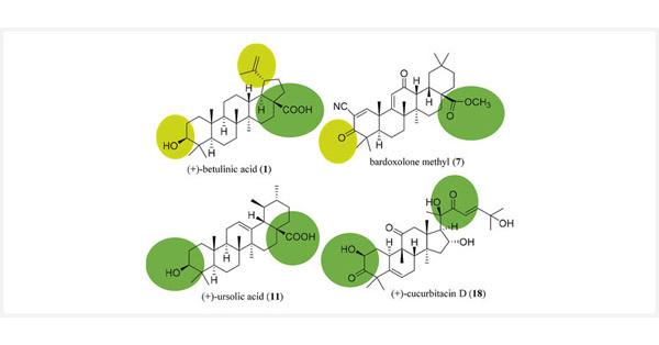 Thieme E-Journals - Planta Medica / Abstract